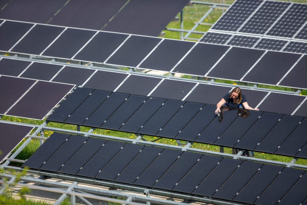 different photovoltaic modules in rows on stands on a meadow and a woman at one of the modules (Photo: Michael Reichel / arifoto.de)